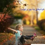خوشبختی چه چیزی نیست؟