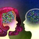 الگوهای عصبی مشابه زوجین